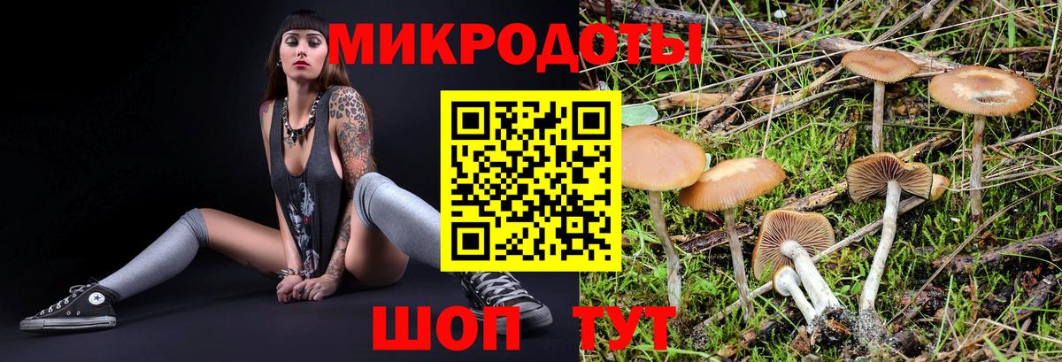 Псилоцибиновые грибы Psilocybine cubensis  где найти наркотики  Зеленогорск  Вход с VPN 